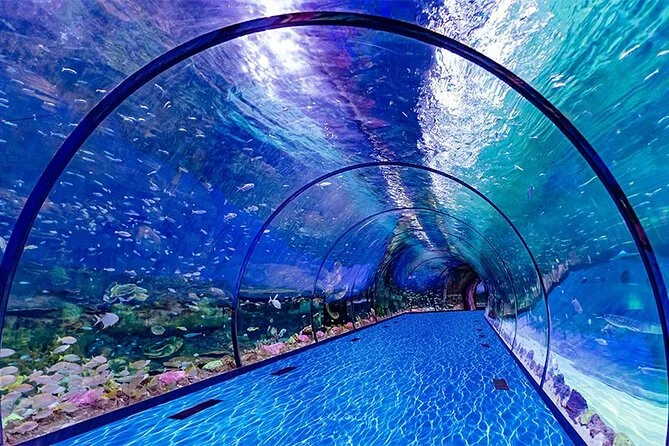 National Aquarium Abu Dhabi