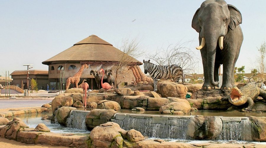 dubai-safari