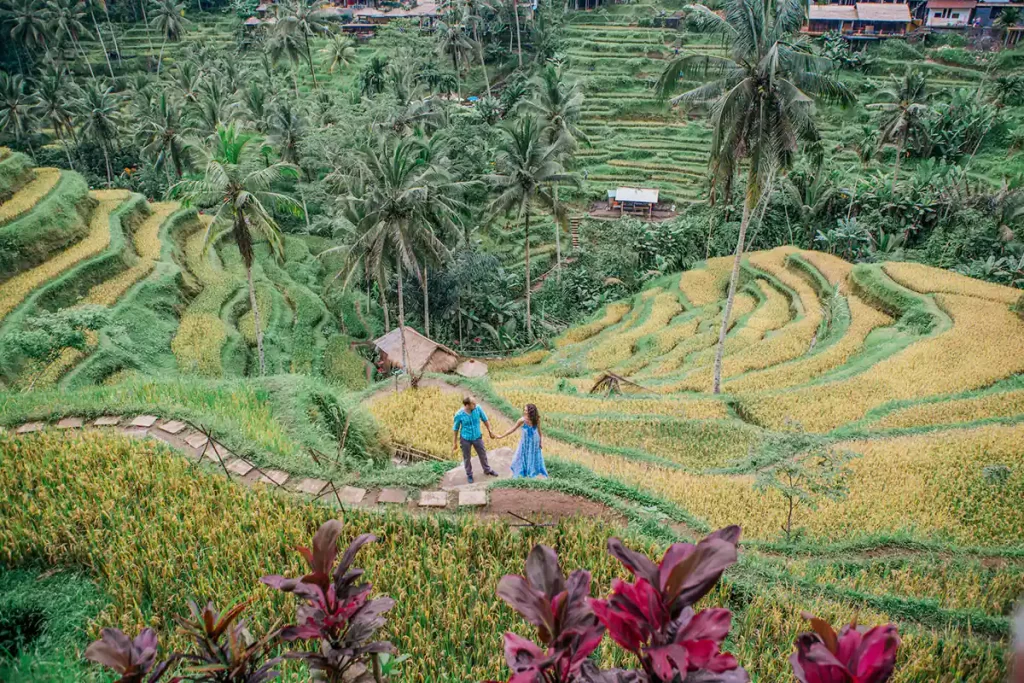 tegallalang-rice-terrace-1-1024×683